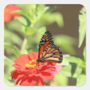 Search for october stickers Photography