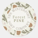 Search for pine cones Evergreen