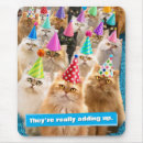 Search for cute cat mousepads Avanti press