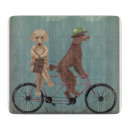 Search for bicycle cookware Funny dogs