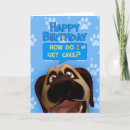 Search for dash in cards Dog
