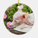 Search for animal rescue christmas tree decorations Adopt