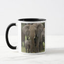 Search for serengeti mugs Adam jones