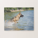 Search for german shepherd puzzles Dog