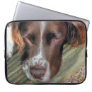 Search for sporting dog electronics Dogs