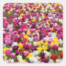Search for field stickers Nature