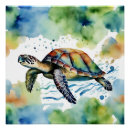 Search for sea turtle posters Tropical