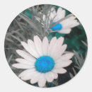 Search for shasta daisy stickers Flower