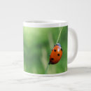 Search for ladybug birthday mugs Colourful
