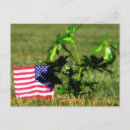 Search for air force postcards Flag