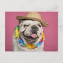Search for old english postcards Domestic animals