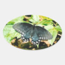 Search for black and white butterfly stickers Insect