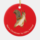 Search for squirrels christmas tree decorations Funny squirrel