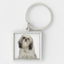 Search for tibetan key rings Animal