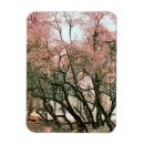 Search for frost christmas cards Watercolor