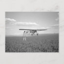 Search for cropping postcards Vintage
