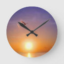 Search for seagull clocks Seascape