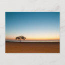 Search for lonely tree postcards Trees
