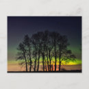 Search for northern lights postcards Landscape
