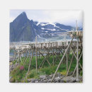 Search for misty magnets Beautiful