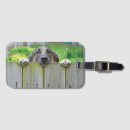 Search for shepherd travel accessories Puppy