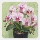 Search for pink orchids stickers Tropical