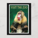 Search for vintage monkey postcards Animal