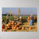 Search for display posters Usa