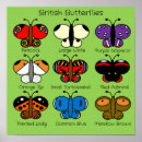 Search for butterfly art Colour