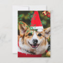 Search for dog thank you cards Corgi