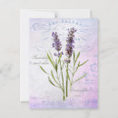Search for vera postcards Vintage