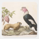 Search for native art stickers Animals