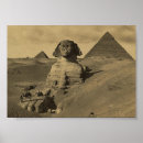 Search for vintage camel posters Egypt