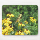 Search for horticulture mousepads Yellow