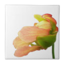 Search for plants tiles Gardening