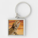 Search for bearded dragon key rings Shells
