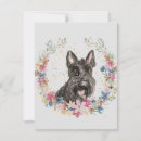 Search for scottie note cards Animal