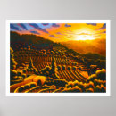 Search for tuscany vineyards posters Grapes