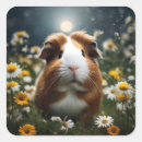 Search for small pig stickers Cute guinea pig