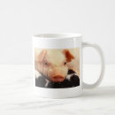 Search for piglets mugs Farm