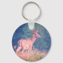 Search for whitetail key rings Wildlife