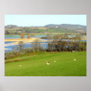 Search for flooding posters River