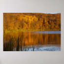 Search for minnesota art posters Landscape