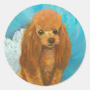 Search for paint ball stickers Dog