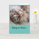 Search for funny hang in there cards Cat