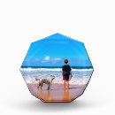 Search for dog photo display Pet