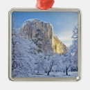 Search for sunrise christmas tree decorations Winter