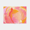 Search for cabbage rose Flower