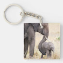 Search for elephant love key rings Safari