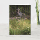 Search for heron cards Animal